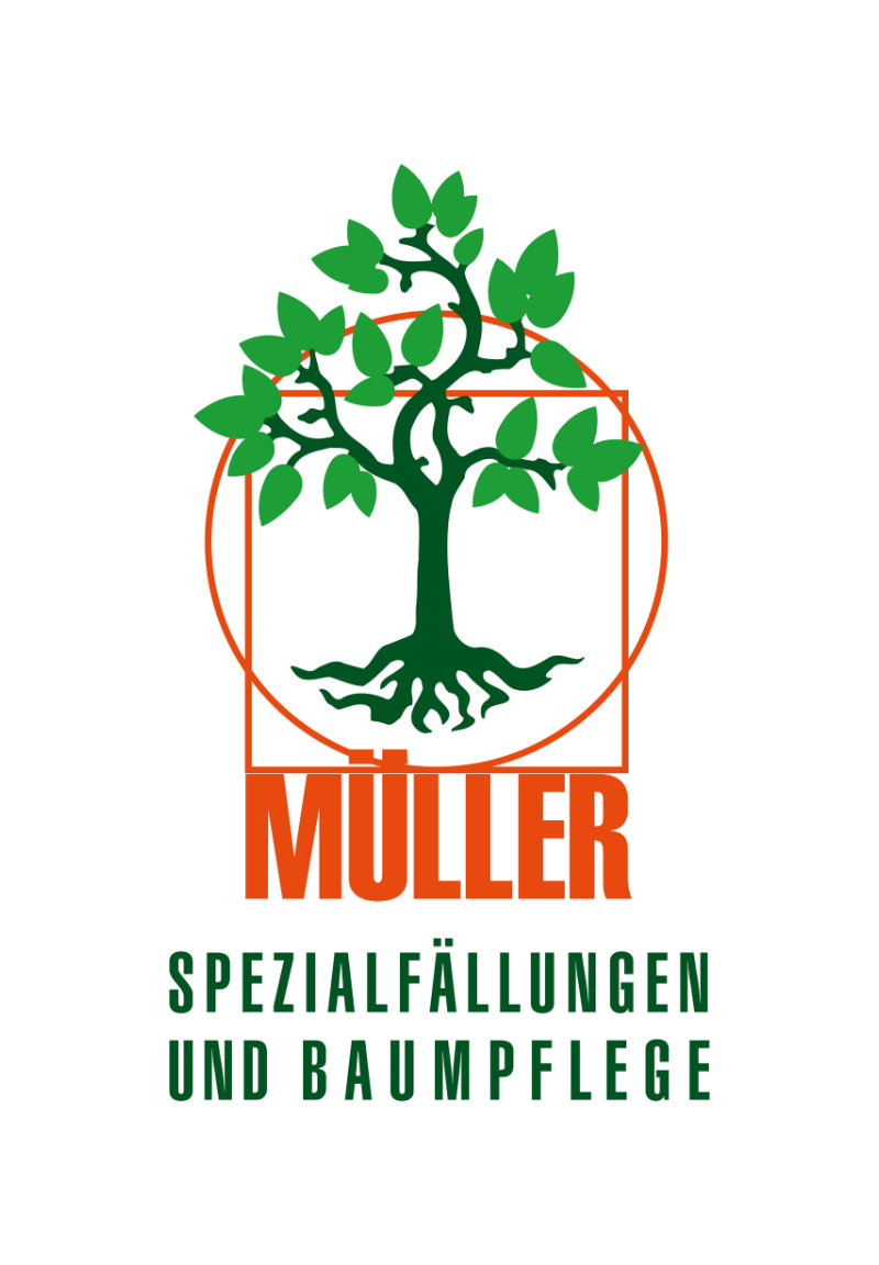 Müller Baumpflege